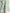 Graceful Mint Green Chiffon Midi Dress with Ruched Waist and Floral Embroidery