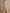 Champagne Silk Short Sleeves  Maxi Dress