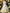 Elegant White Organza Dress with Yellow Floral Print and Sleeveless Bodice