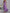 Lilac One-shoulder Satin Midi Dress