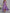 Lilac One-shoulder Satin Midi Dress
