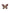 Exquisite Alloy Rhinestone Butterfly Brooch