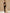 Black Shiny Fish One-shoulder Slit Maxi Dress