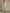 Elegant Eucalyptus Green Cape Sleeve Evening Dress with Lace Details