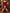 Burgundy Velvet Christmas Outfit Maxi Dress