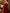 Burgundy Velvet Christmas Outfit Maxi Dress