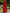 Long Sleeved High Neck Chiffon Pleated Maxi Dress