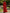 Long Sleeved High Neck Chiffon Pleated Maxi Dress