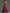 Burgundy Satin One Shoulder Maxi Dress