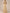 Champagne Colored Round Neck Short Sleeved Lace Chiffon Jumpsuit