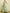 Solid Color Single Shoulder Satin Maxi Dress