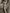 Satin High-Neck Fitted Waist Maxi Dress
