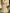 Satin V-Neck Midi Dress