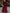 Burgundy Velvet Pleated Maxi Dress