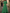 Structured Balloon-Sleeve Maxi Dress