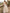 Milk Apricot Satin Shoulder Maxi Dress