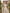 Milk Apricot Satin Shoulder Maxi Dress