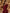 Burgundy Satin One-Shoulder Large Bow Maxi Dress