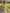 Yellow And White Floral Chiffon Deep V Maxi Dress