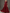 Lace Chiffon Floor-Length Jumpsuit