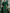Emerald Green Chiffon Shawl Jumpsuit