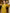 Yellow Satin 3D Floral Wrap Maxi Dress