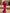 Rose Red Satin One-Shoulder Twisted Fishtail Maxi Dress