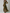 Olive Green Vintage Ruffle Dress Maxi Dress