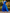 Satin Elegant Midi Dress