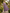 Chiffon Pleated Elegant Maxi Dress
