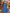 Pleated Chiffon 3d Floral Pattern Maxi Dress