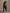 Navy Blue Chiffon Layered Sleeve Wide leg Pants 2-Piece Suit
