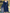 Navy Blue Tulle Shawl Dress 2-Piece Set