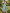 Light Blue Floral Chiffon One-Shoulder Midi Dress