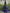 Royal Blue All-Lace V-Neck Tie-Waist Maxi Dress