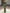 Green Beaded Long Sleeved Fishtail Maxi Dress