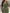 Green Beaded Long Sleeved Fishtail Maxi Dress