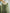 Green Beaded Long Sleeved Fishtail Maxi Dress