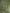 Green Beaded Long Sleeved Fishtail Maxi Dress