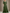 Lace Bodycon Chiffon A-line Maxi Dress