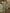 Moss Green Chiffon One-Shoulder 3D Floral High-Slit Dress Maxi Dress