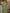 Moss Green Chiffon One-Shoulder 3D Floral High-Slit Dress Maxi Dress