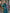 Peacock Blue Shimmering Satin Cape With Fishtail Collar Midi Dress