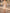 Light Champagne Gold Lace Trimmed Satin Mini Dress