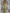 Multi-Tone Off-the-Shoulder Wrap Satin Maxi Dress