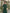 Dark Green Off Shoulder Pleated Lantern Sleeves Maxi Dress