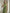 Olive Drab Halter Neck Chiffon 3D Flower Maxi Dress