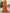 Solid Color Deep V-Neck Layered Chiffon Maxi Dress