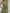 Olive Drab One Shoulder Chiffon Dress With 3D Floral High Slit Maxi Dress