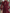 Robe longue en mousseline bordeaux à col montant